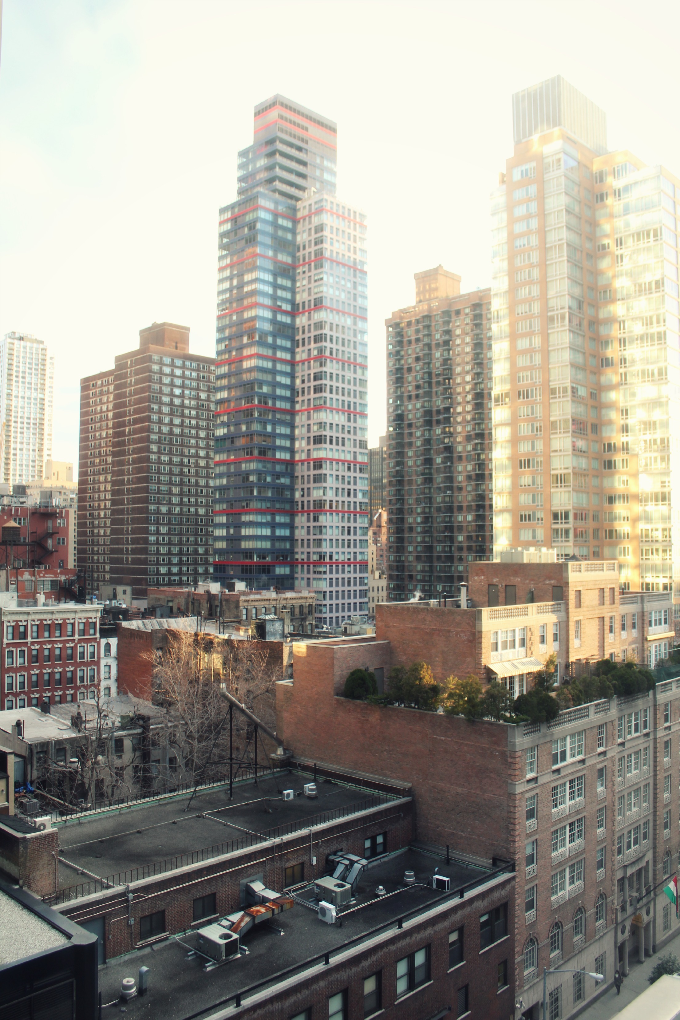 DISABLED AND THE CITY | NEW YORK CITY