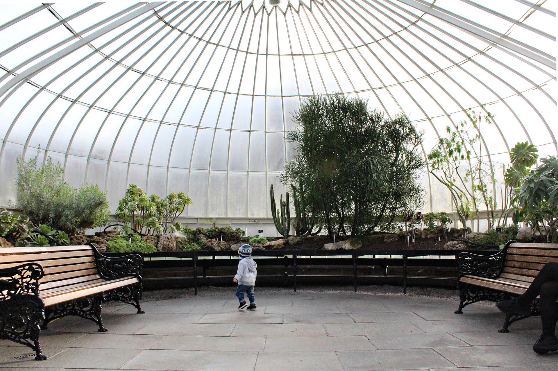 Glasgow Botanic Gardens wheelchair access