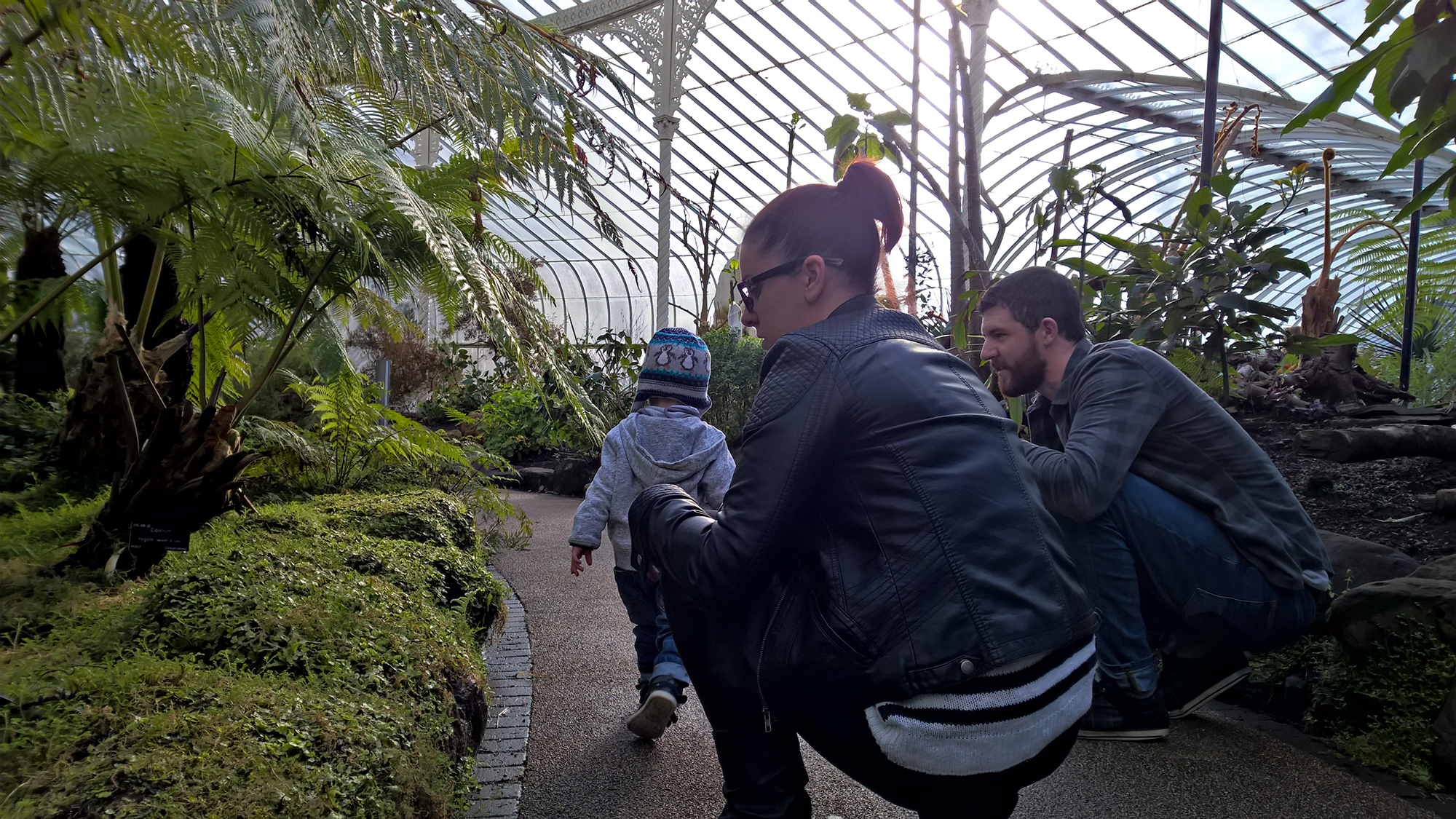 Glasgow Botanic Gardens wheelchair access