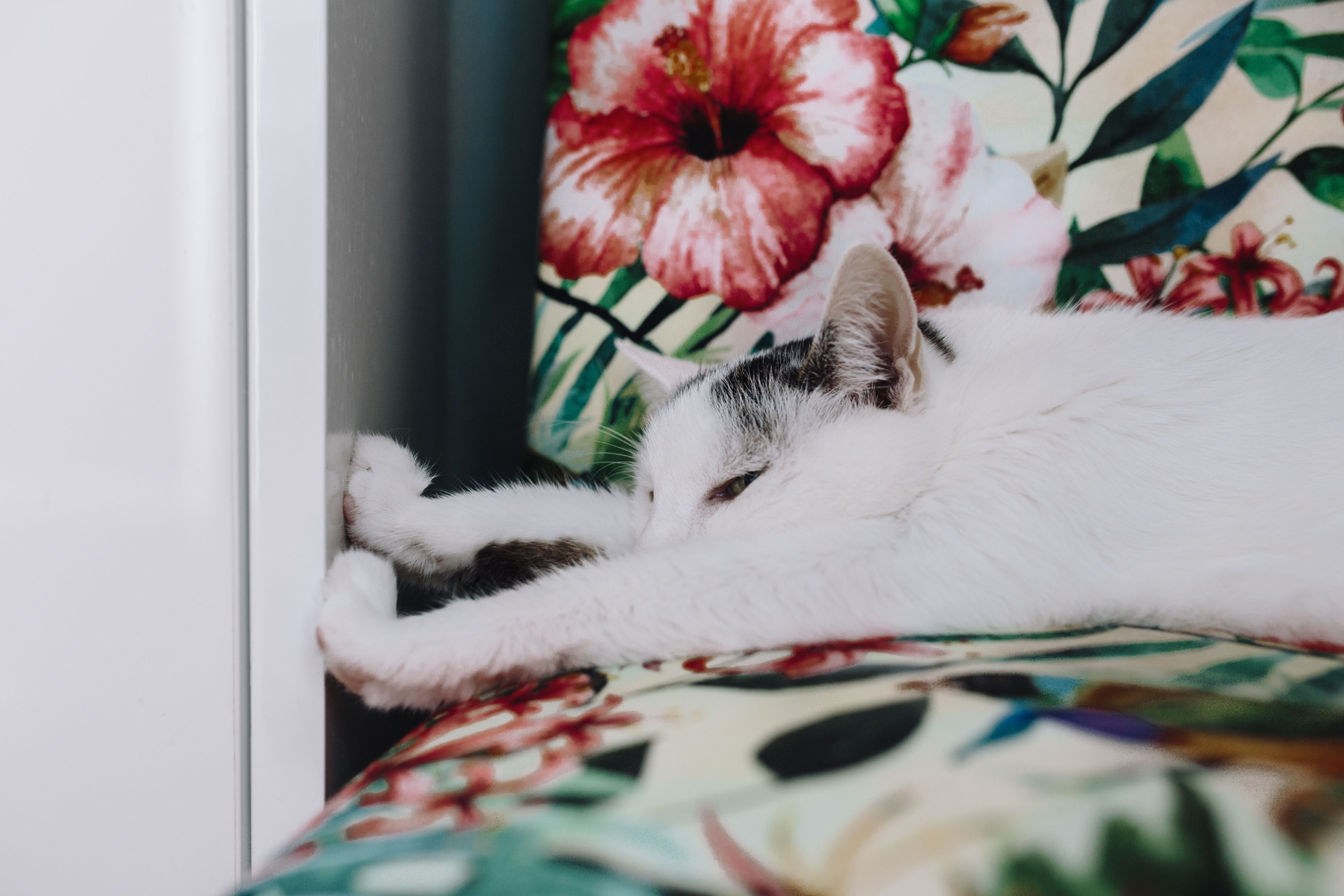 How to unwind at the end of the day simply emma