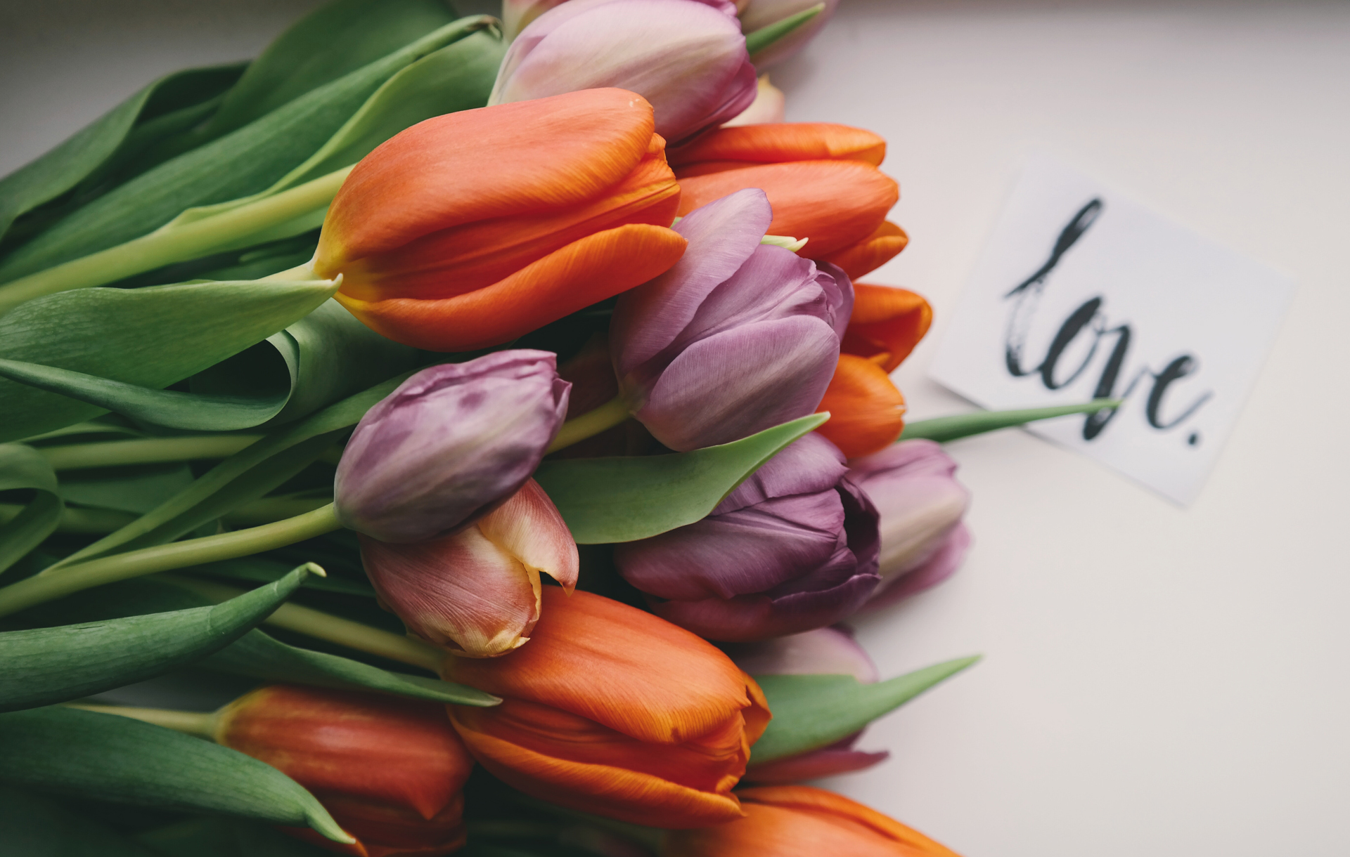 Things I’ve loved in February: Tulips