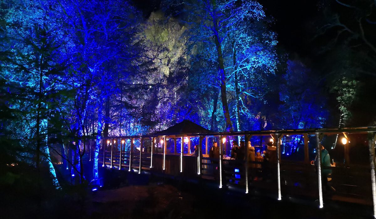 A bridge through the forest surrounded by blue lit up trees.