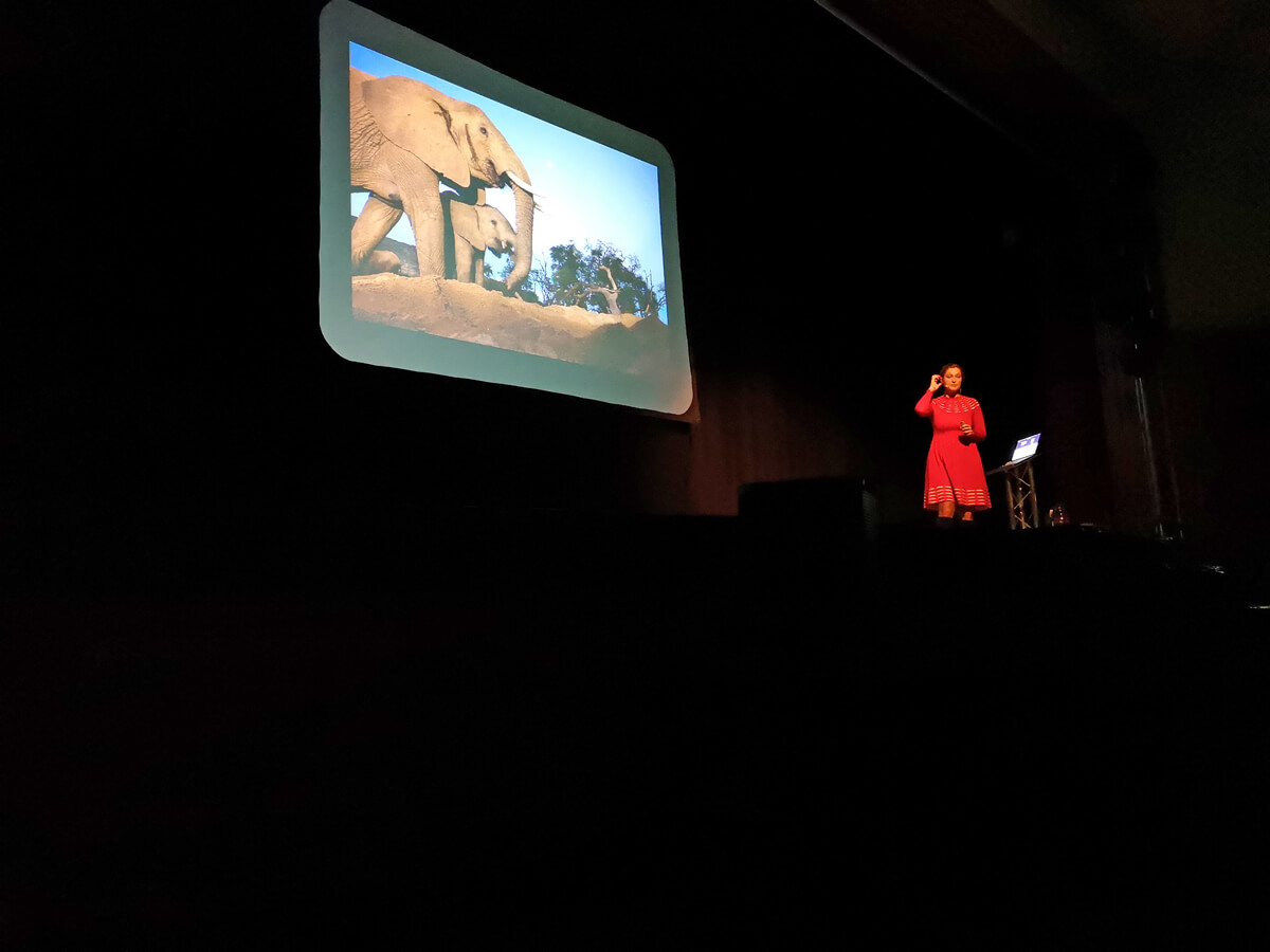 Saba Douglas-Hamilton standing on stage with a projector screen behind showing two elephants.