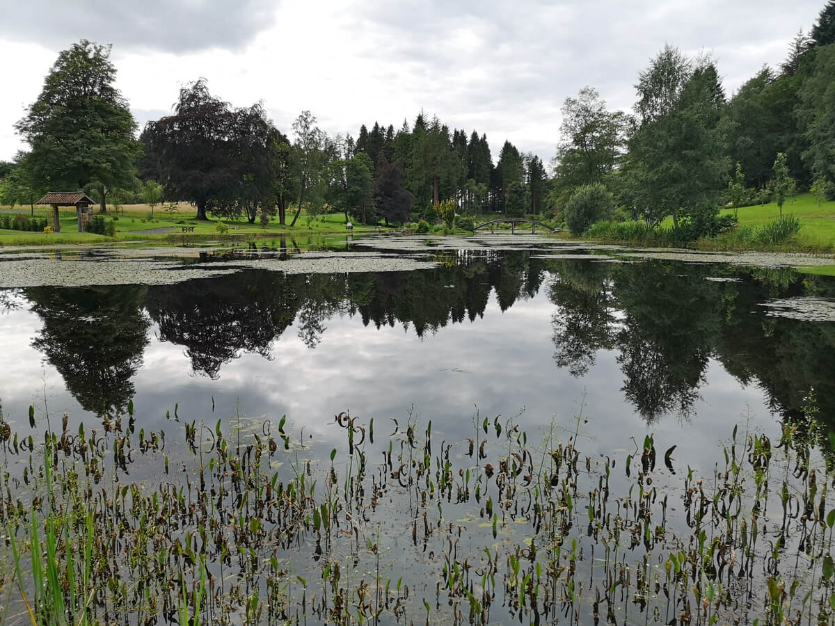 A view across the pond at Japanese Garden at Cowden.