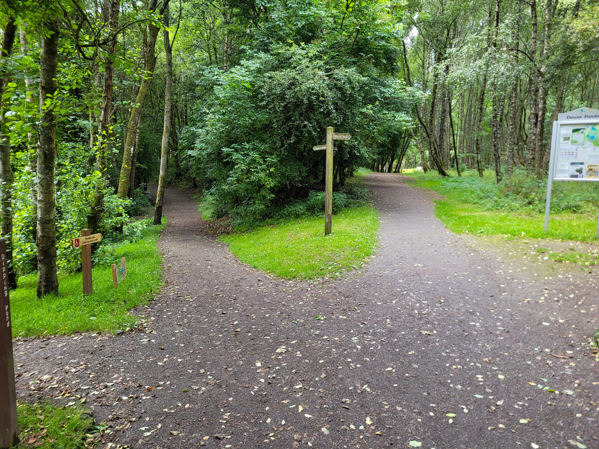 A view of the wheelchair accessible paths at Doune Ponds.