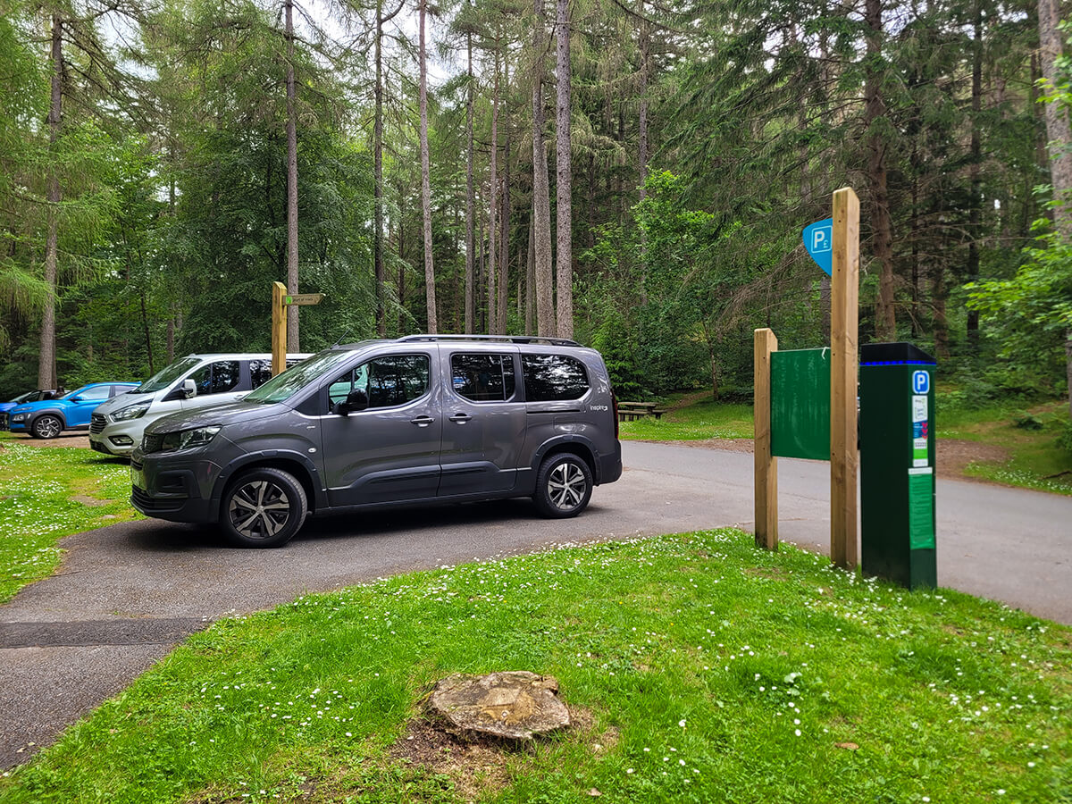 A grey wheelchair accessible vehicle parked in the car park of Faskally Woods. The car park is surrounded by tall pine trees.