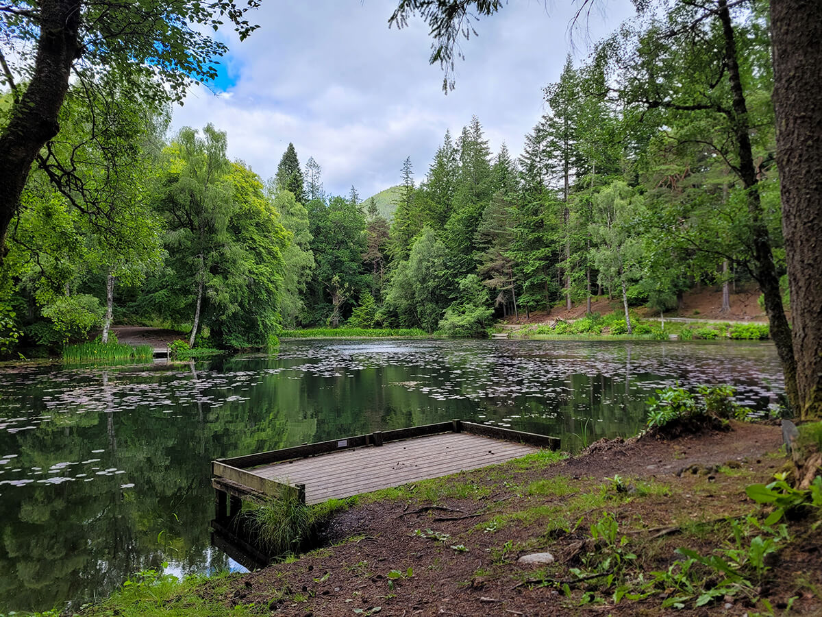 Loch Dunmore in Faskally Woods