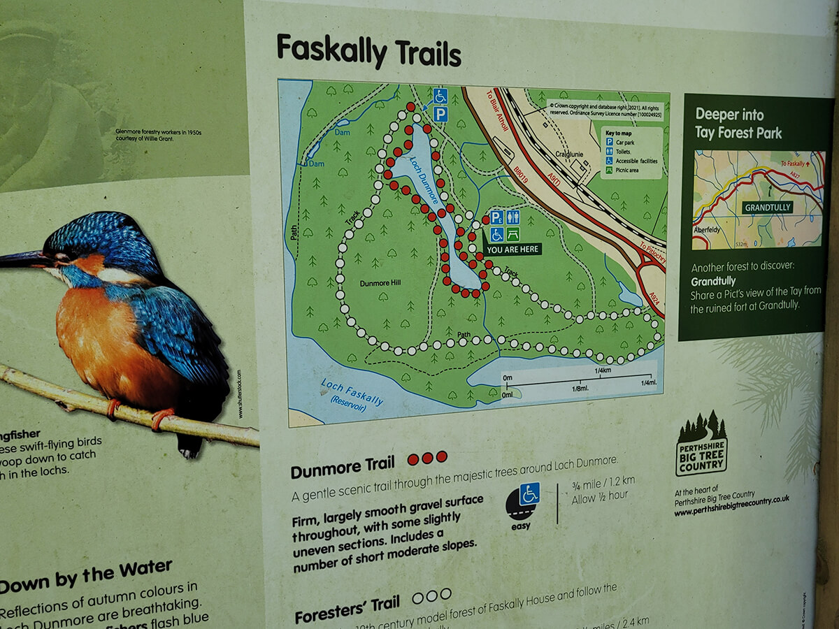 A close up of the Faskally Wood trails map showing the Dunmore Trail