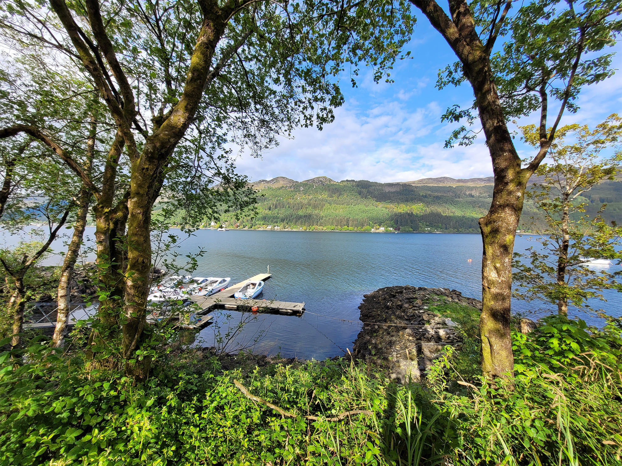 a view of Loch Goil through an opening in trees.