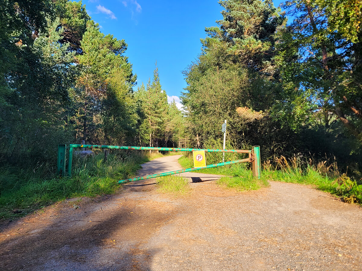 A green metal barrier gate into Glenmore Forest. This is the entrance to the Green loch