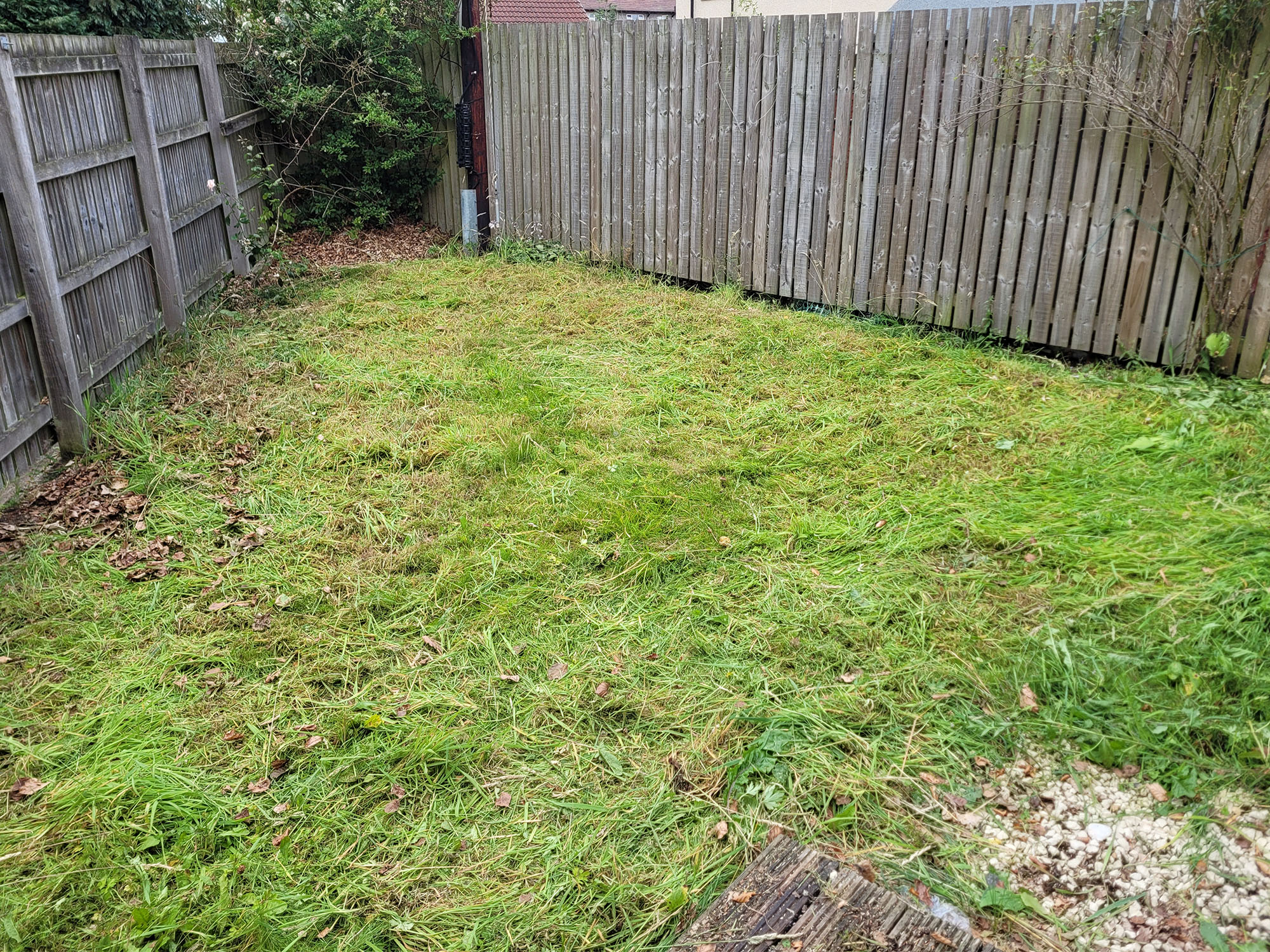 Garden before it's been transformed. All there is a patch of grass which has just been cut.