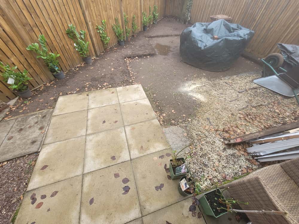 garden before its makeover.
