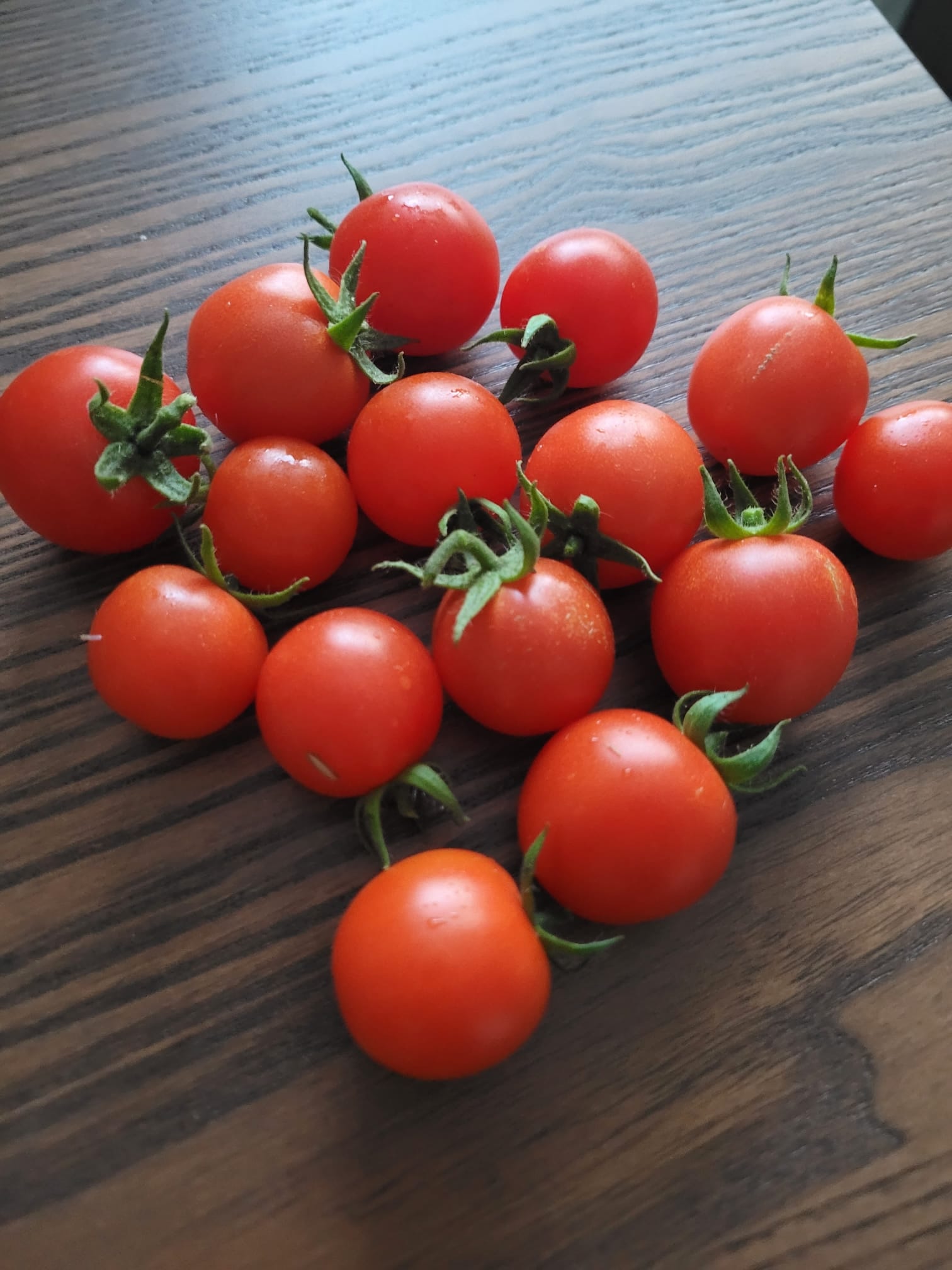 a pile of homegrown tomatoes
