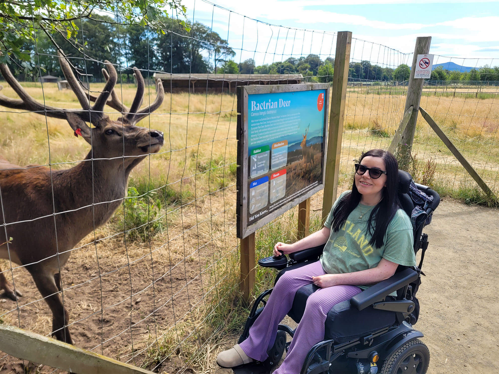 Emma sat in her wheelchair next to a Bactrian Deer. Emma is smiling at the camera wearing sunglasses.